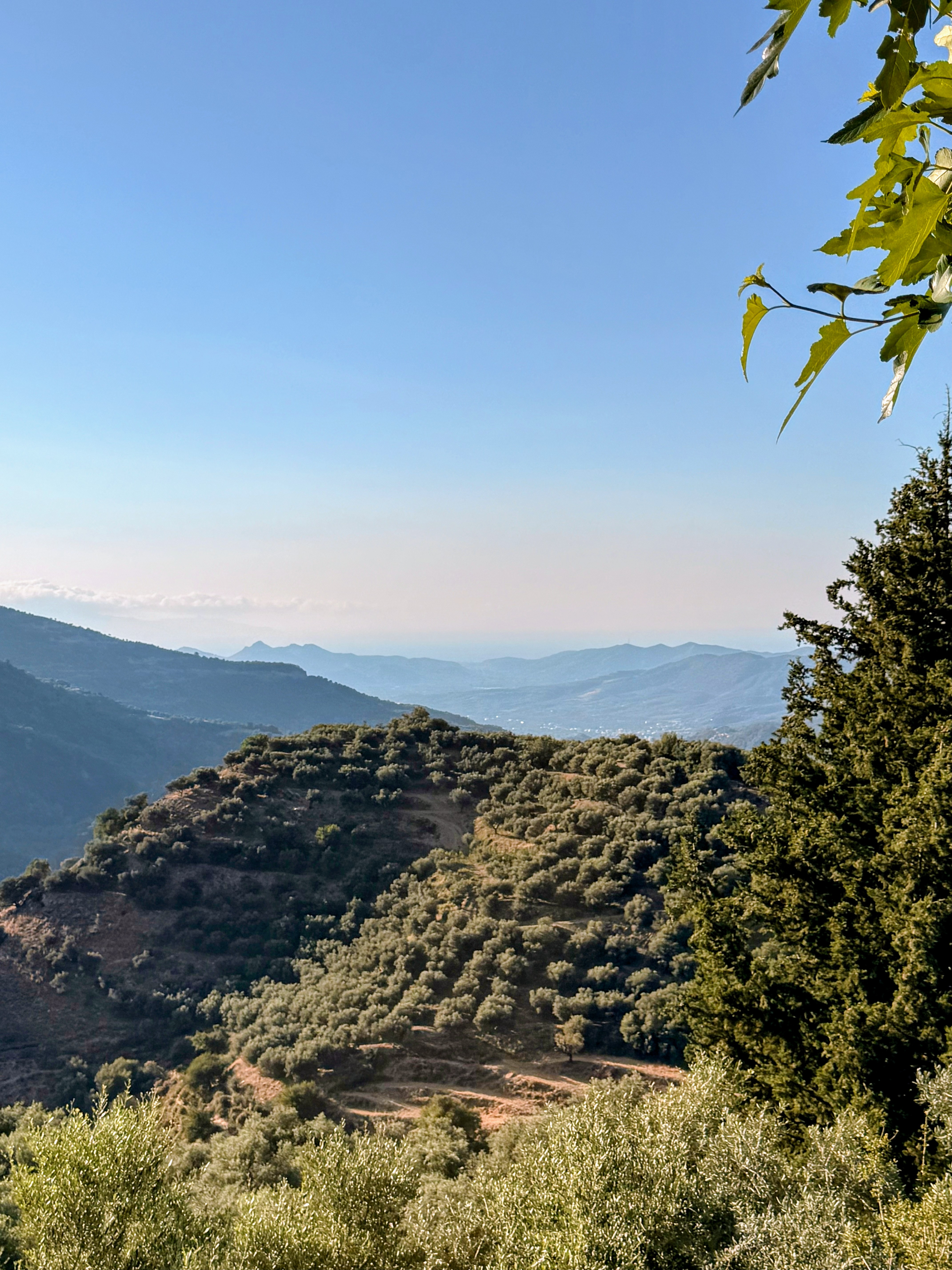 Mountain Views